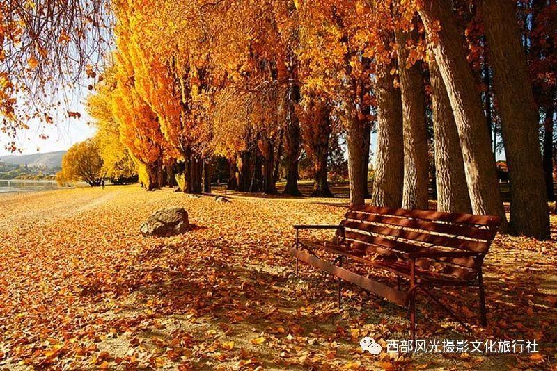 拯救被困王国