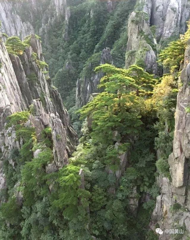 为什么我都20岁了胸还是那么小？游戏画面