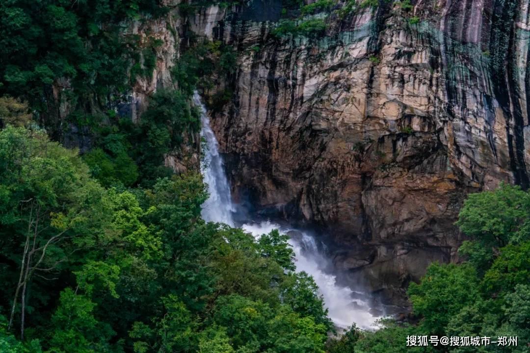 桔梗为什么被称作“诸药之舟楫”,原来它的功效不止是祛痰止咳